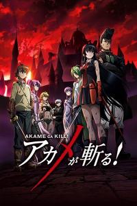 Akame ga Kill! – Todos os Episodios