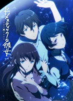 Domestic na Kanojo – Todos os Episódios