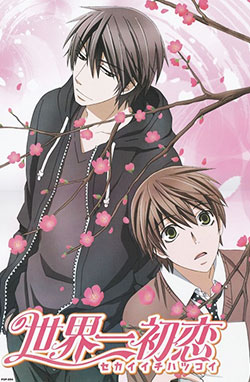 Sekai-ichi Hatsukoi – Todos os Episódios