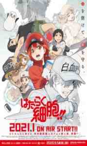 Hataraku Saibou!! 2 – Todos os Episódios