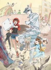 Hataraku Saibou – Todos os Episódios